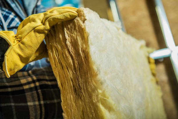 Best Spray Foam Insulation in San Augustine, TX
