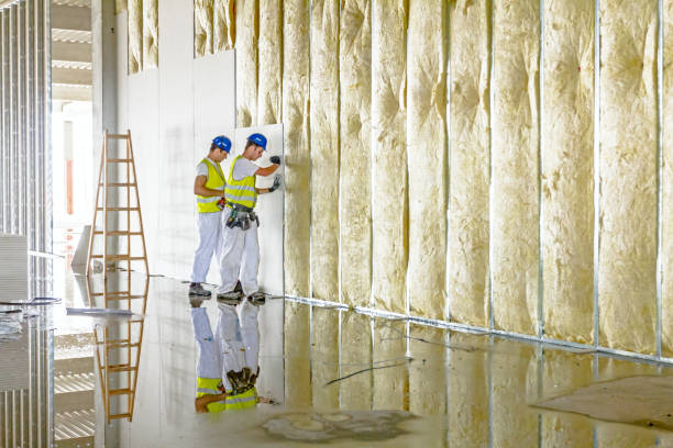 Best Eco-Friendly Insulation in San Augustine, TX